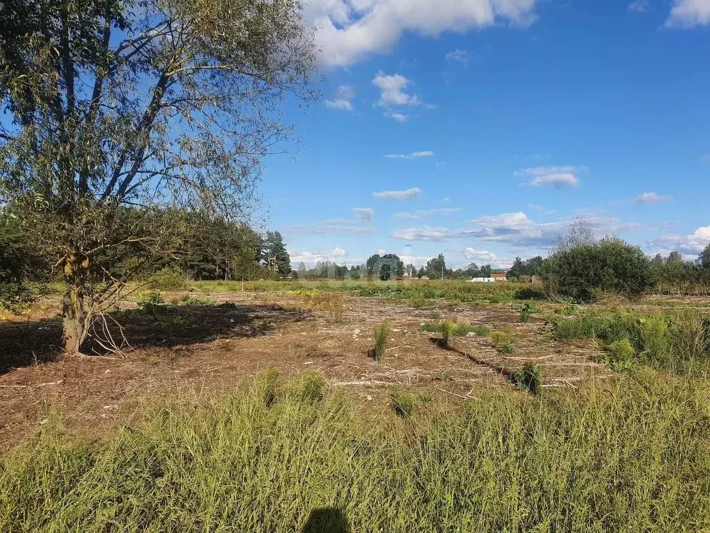 Участок в Псковская область, Псковский район, Тямшанская волость, д. ... - Фото 1