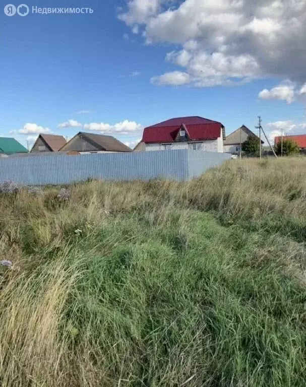 Участок в Курганская область, село Кетово (12 м) - Фото 2