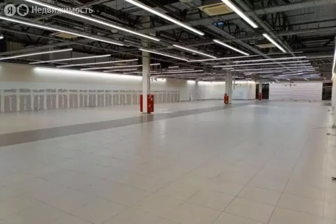 Торговая площадь (2300 м) - Фото 2