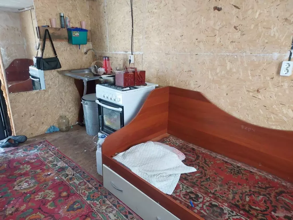 Участок в Алтай, Майминский район, с. Кызыл-Озек Солнечный пер. (10.5 ... - Фото 2