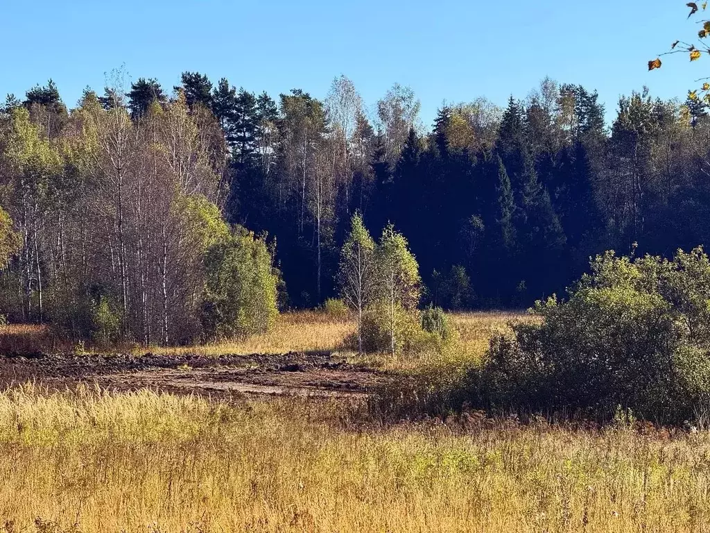 Участок в Московская область, Дмитровский муниципальный округ, Ерыково ... - Фото 2