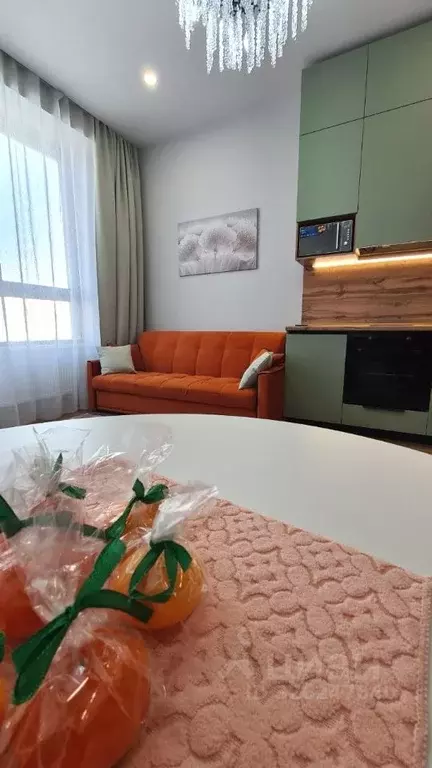 Студия Москва ул. Академика Волгина, 2 (30.0 м) - Фото 1