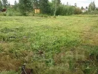 Участок в Свердловская область, Горноуральский городской округ, с. ... - Фото 1