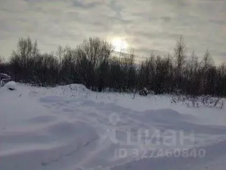 Участок в Московская область, Серпухов городской округ, с. Липицы  ... - Фото 1