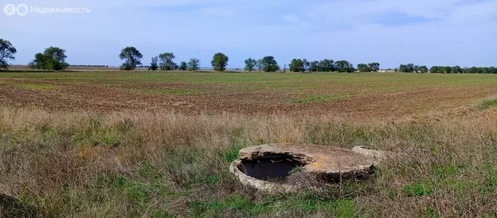 Участок в Сакский район, село Добрушино (131 м) - Фото 0