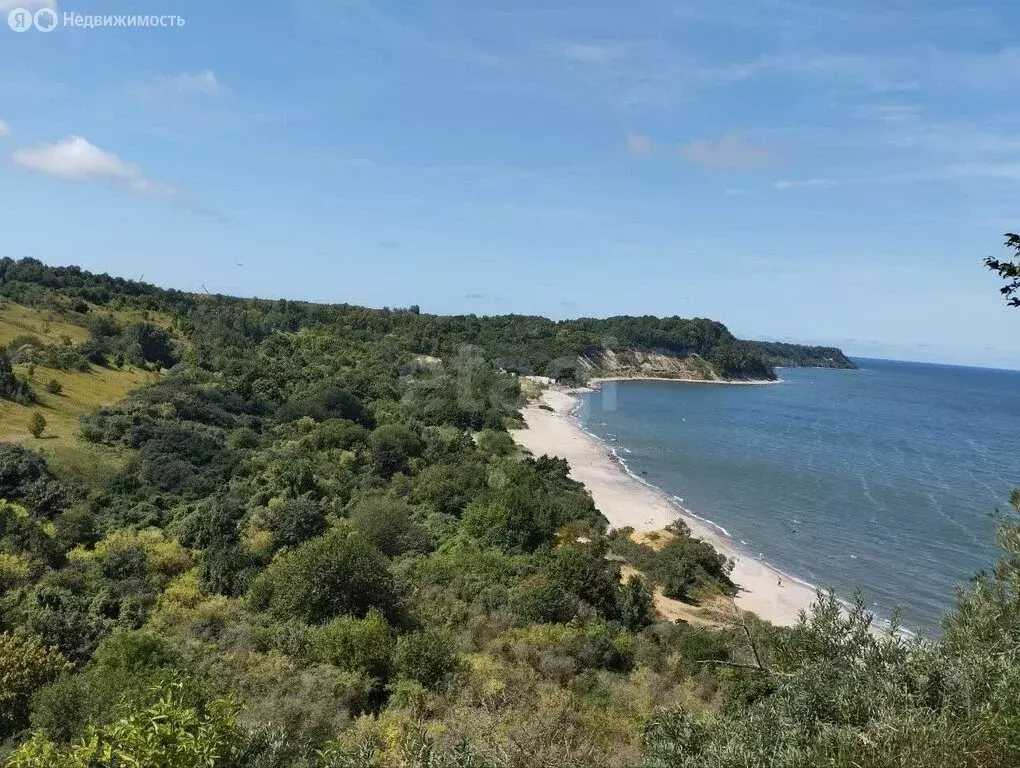 Участок в посёлок Приморье, Берёзовая улица (8 м) - Фото 2