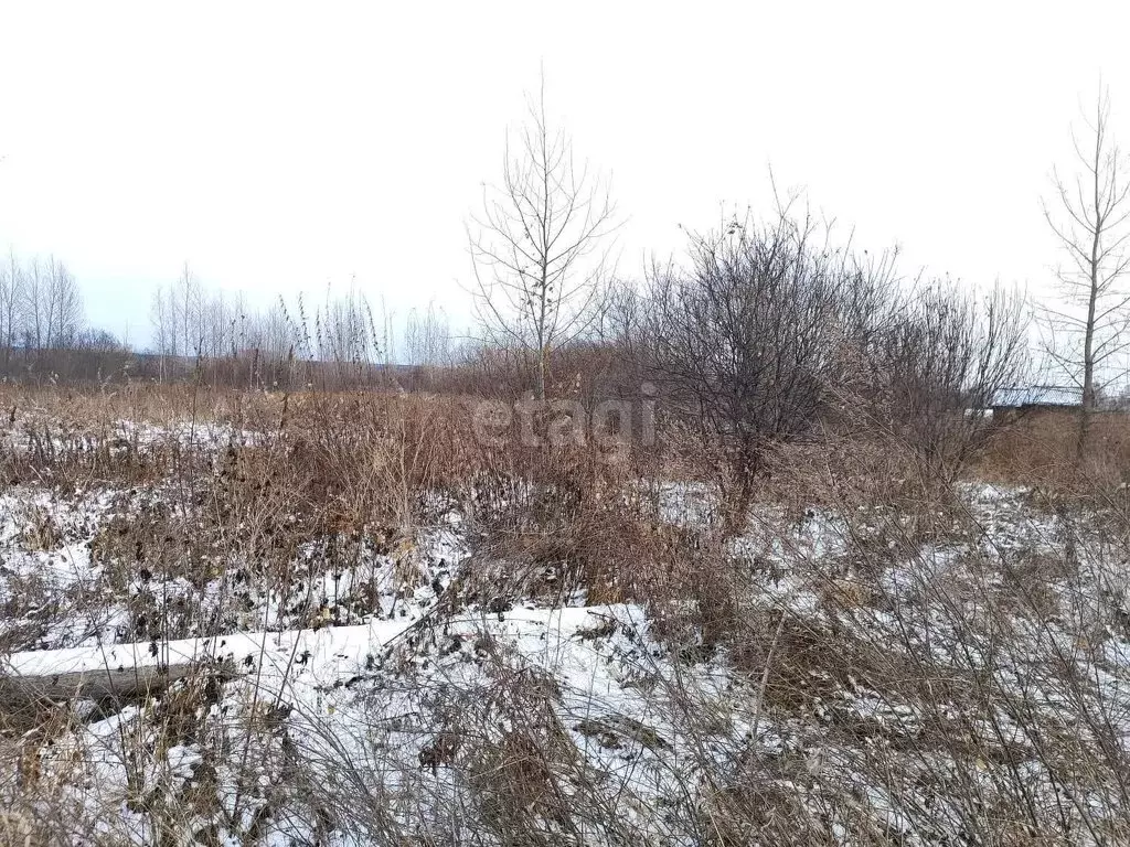 Участок в село Берёзово, улица Гагарина (15 м) - Фото 1