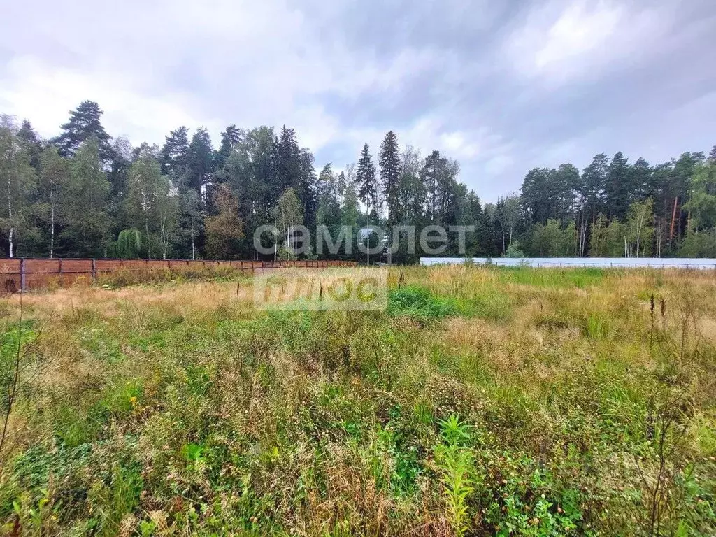 Участок в Московская область, Щелково городской округ, ДСК Слава-1 ... - Фото 2