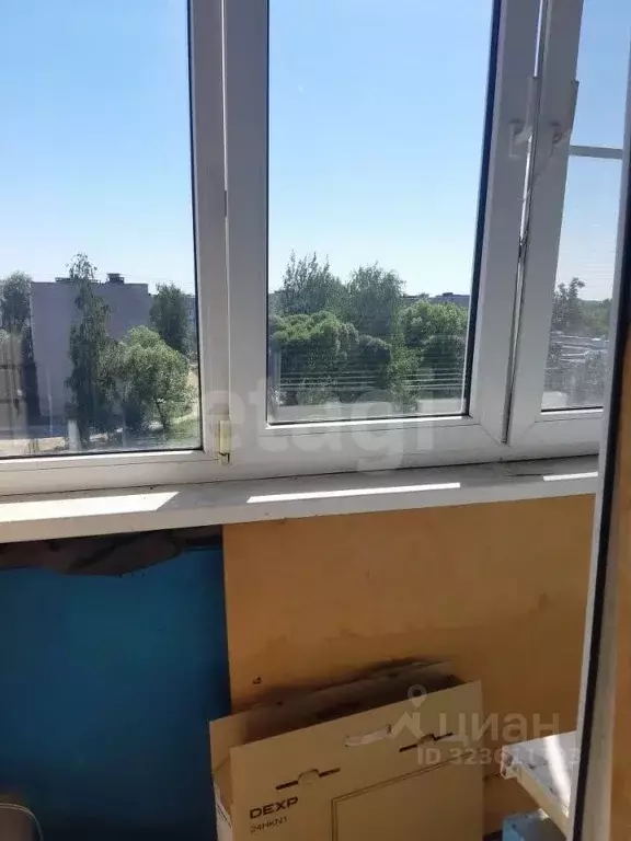 2-к кв. Вологодская область, Шексна рп, Шексна Северная мкр ул. ... - Фото 2