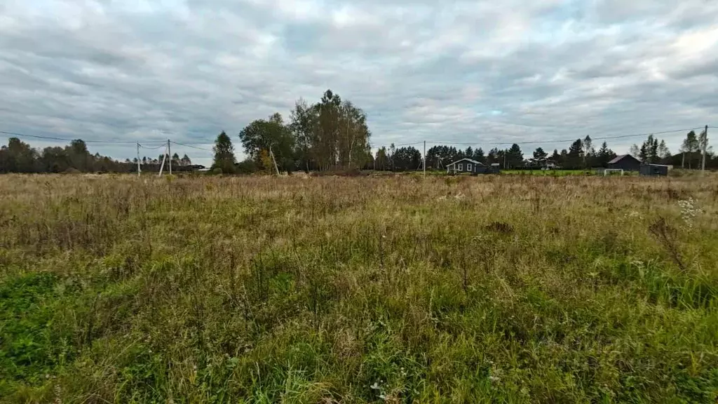 Участок в Московская область, Рузский муниципальный округ, д. Горки  ... - Фото 2