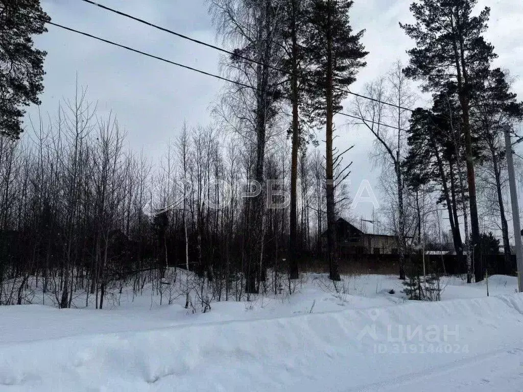 Участок в Тюменская область, Тюменский район, пос. Новотарманский ... - Фото 0