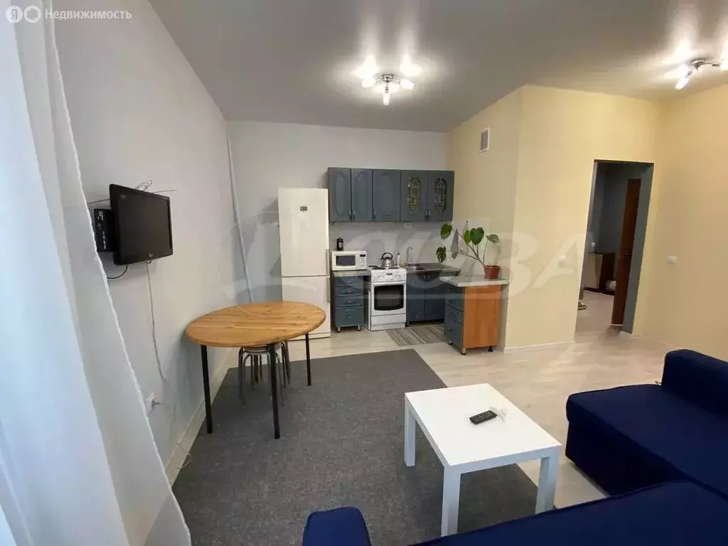 Квартира-студия: деревня Патрушева, улица Александра Пушкина, 10А ... - Фото 1