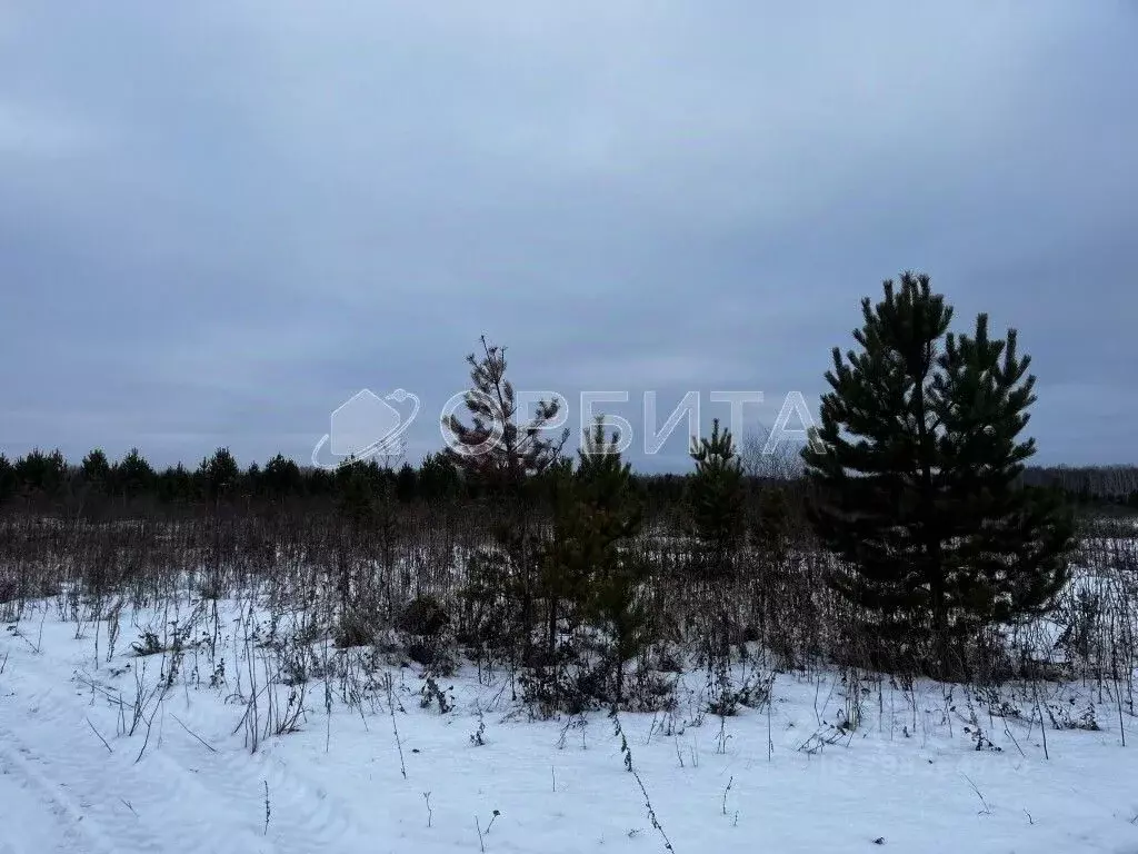 Участок в Тюменская область, Тюменский район, с. Горьковка  (6.71 ... - Фото 0