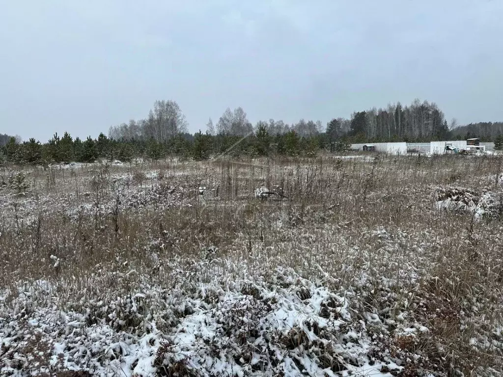 Участок в Красноярский край, Емельяновский муниципальный округ, ... - Фото 2