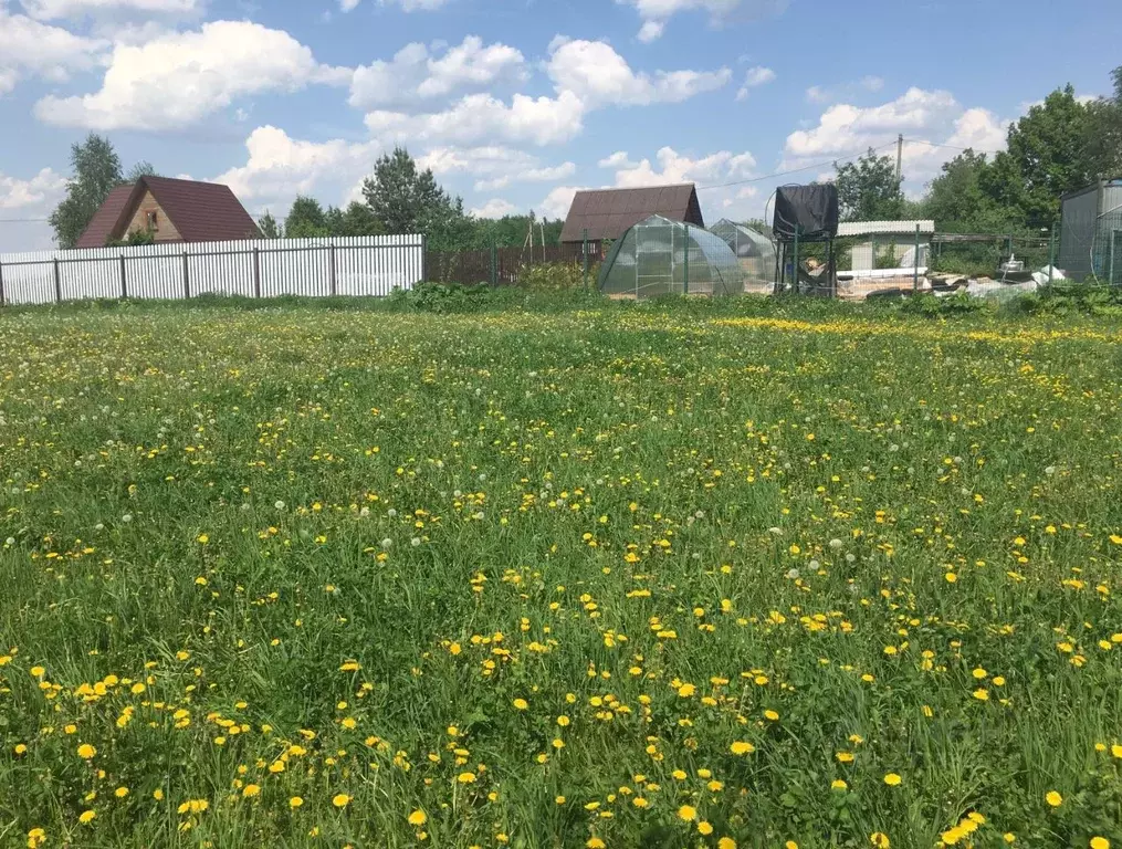 Участок в Московская область, Пушкинский городской округ, д. ... - Фото 1