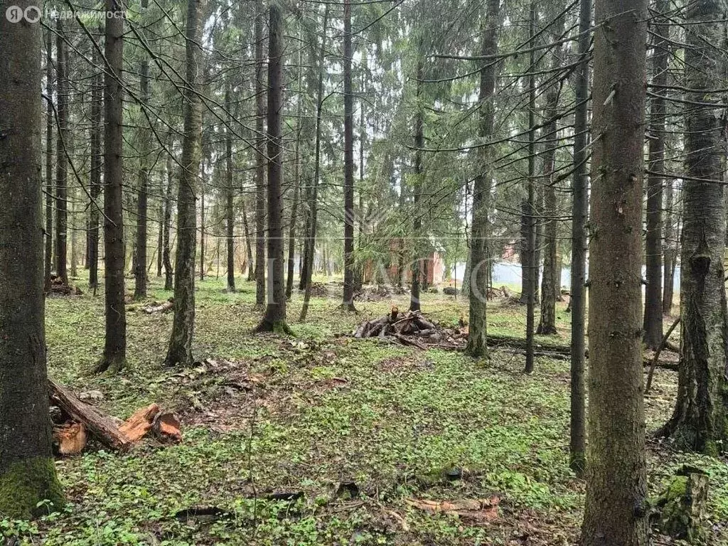 Участок в Одинцовский городской округ, деревня Дарьино (100 м) - Фото 1