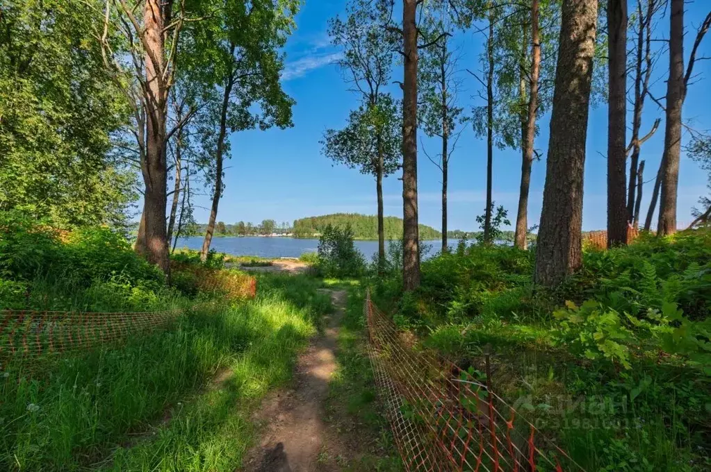 Участок в Ленинградская область, Всеволожский район, Куйвозовское ... - Фото 1