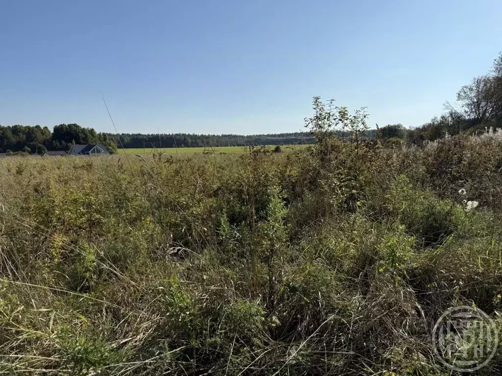 Участок в Ленинградская область, Выборгский район, Красносельское ... - Фото 1