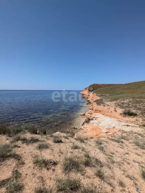 Участок в Крым, Черноморский район, с. Окуневка ул. Крупской (6.0 ... - Фото 0