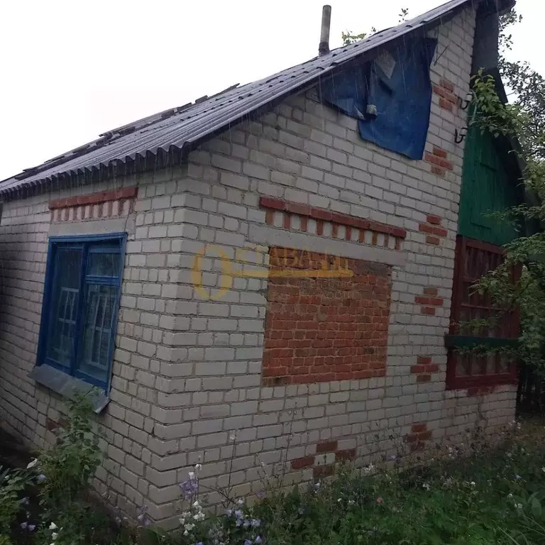 Дом в Белгородская область, Яковлевский городской округ, с. Шопино ... - Фото 1