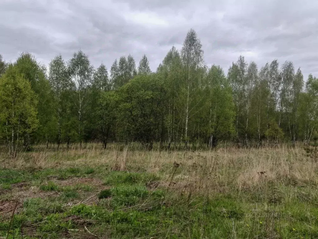 Участок в Московская область, Ступино городской округ, д. Акатово  ... - Фото 1