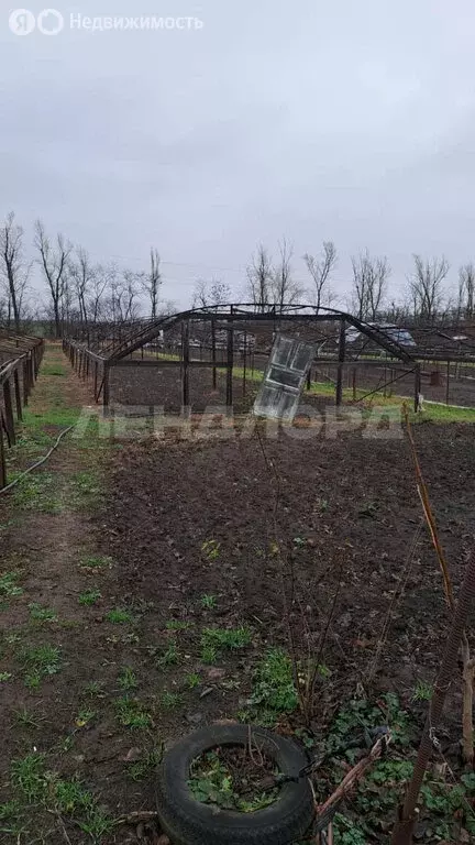 Участок в станица Заплавская, Северная улица (20 м) - Фото 1
