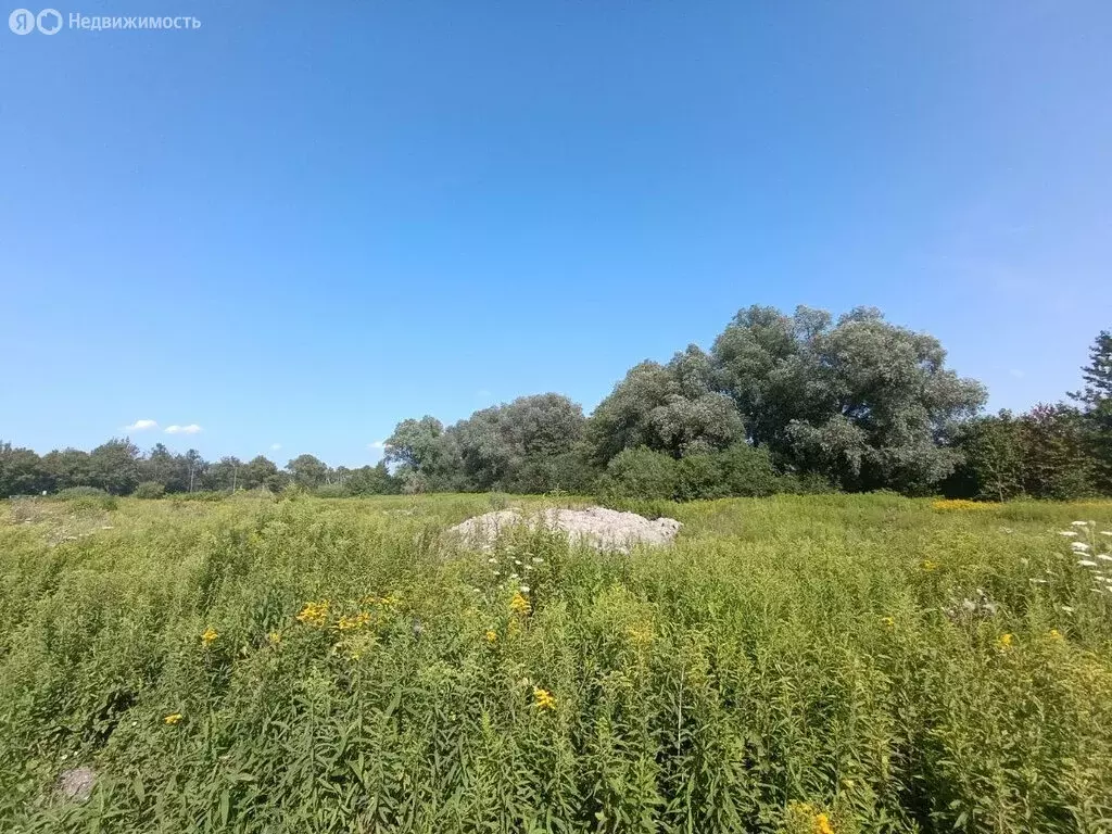 Участок в Калининград, Люблинское шоссе (5.56 м) - Фото 0