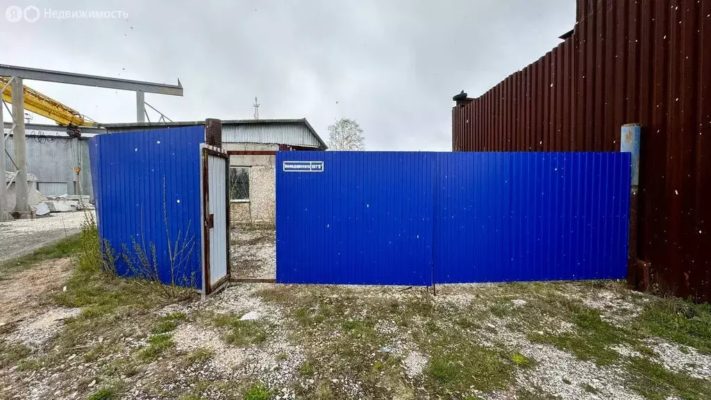 Помещение свободного назначения (257.8 м) - Фото 2