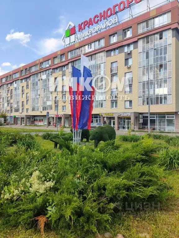 2-к кв. Московская область, Красногорск городской округ, Нахабино пгт ... - Фото 1