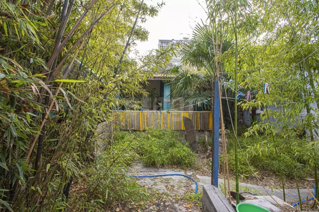 Дом в Севастополь ул. Грушевая, 9 (100 м) - Фото 2