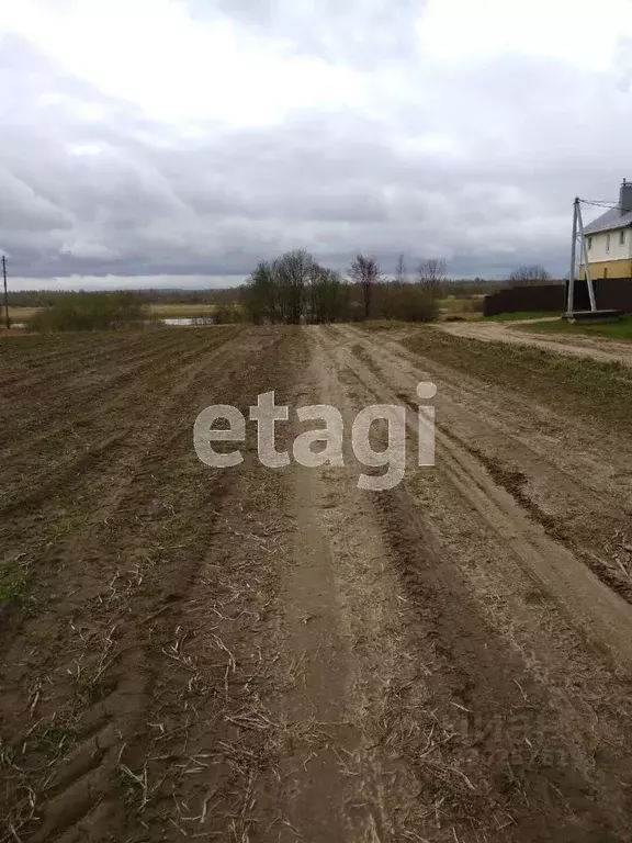 Участок в Костромская область, Костромской район, Шунгенское с/пос, д. ... - Фото 1