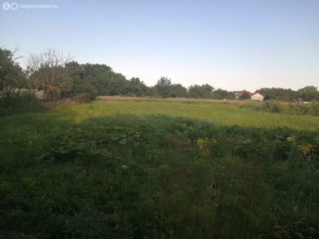 Участок в Александровка, Советская улица (14 м) - Фото 1