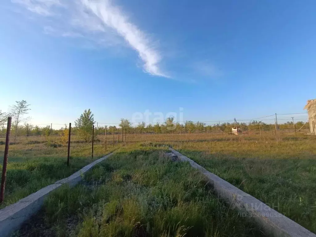 Участок в Оренбургская область, Оренбургский район, с. Каменноозерное ... - Фото 1