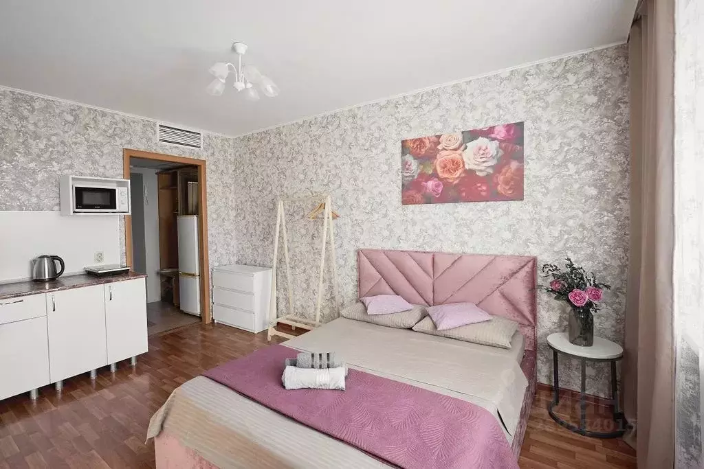 Студия Курганская область, Курган ул. Пичугина, 6 (23.0 м) - Фото 2