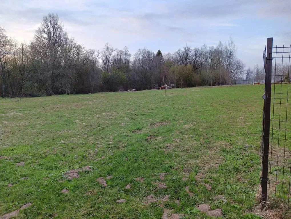 Участок в Московская область, Сергиево-Посадский городской округ, с. ... - Фото 2