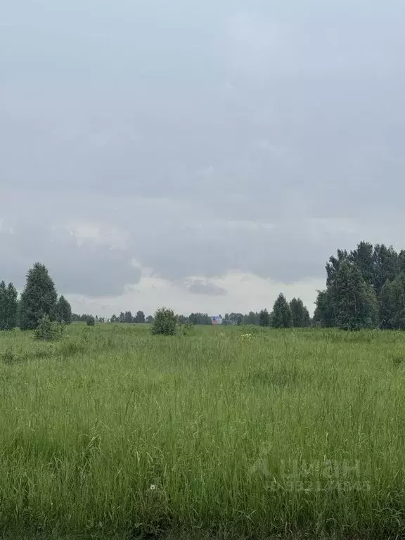 Участок в Челябинская область, Сосновский муниципальный округ, ... - Фото 2