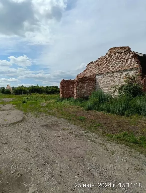 Участок в Воронежская область, Новоусманский район, с. Рогачевка  (5.0 ... - Фото 1