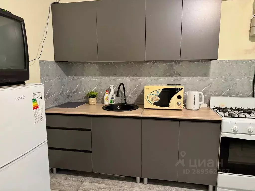 1-к кв. Нижегородская область, Бор ул. Максима Горького, 62/4 (44.0 м) - Фото 2