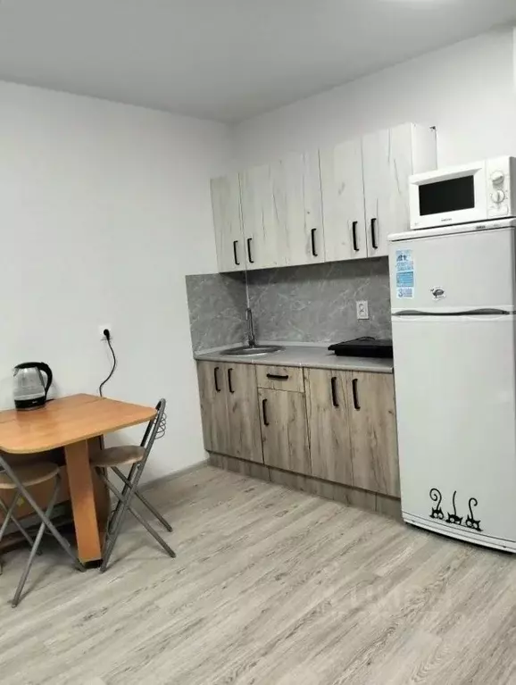 Студия Удмуртия, Ижевск ул. 10 лет Октября, 60Бк1 (26.0 м) - Фото 2