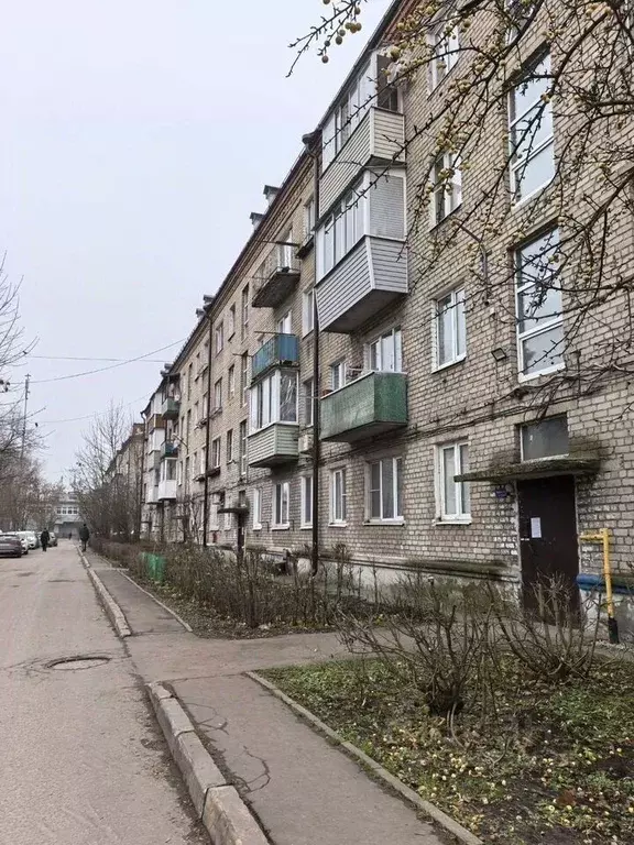 1-к кв. Московская область, Ногинск Богородский городской округ, ул. ... - Фото 1