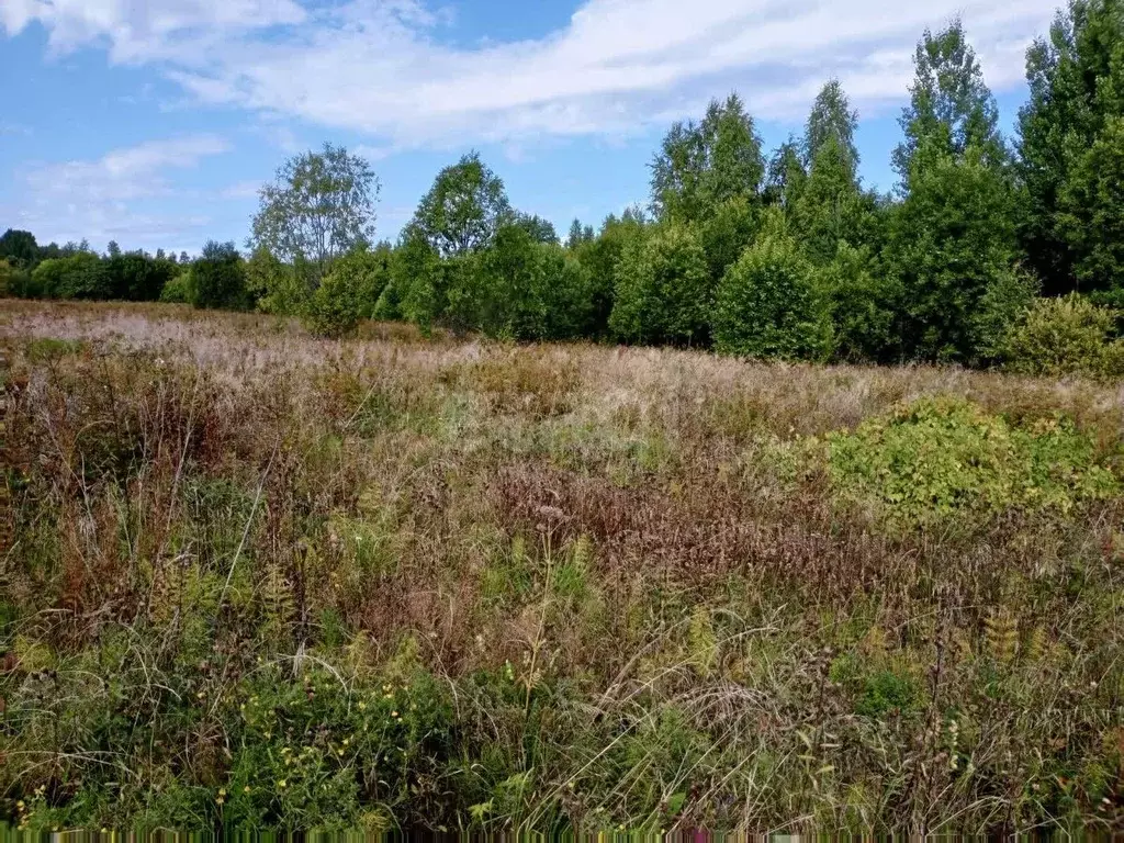 Участок в Вологодская область, Вытегорский район, Оштинское с/пос, д. ... - Фото 1