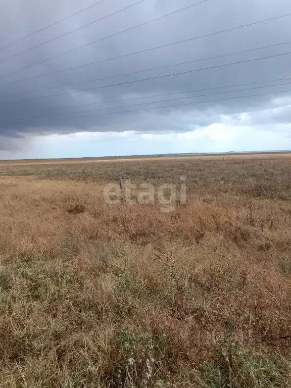 Участок в Крым, Черноморский район, с. Новосельское, Таврия СНТ ул. ... - Фото 0