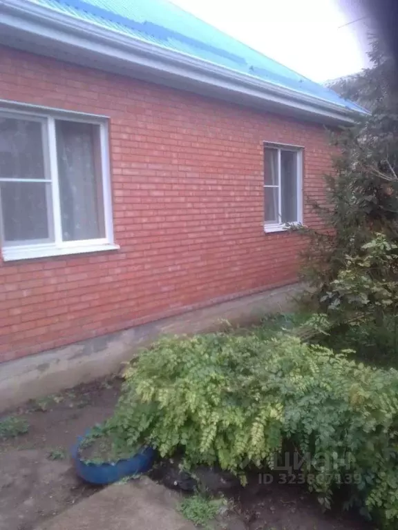 Дом в Краснодарский край, Красноармейский район, Трудобеликовское ... - Фото 1