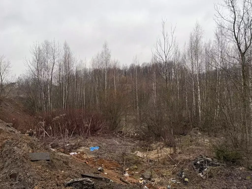 Участок в Московская область, Пушкинский городской округ, Софрино пгт  ... - Фото 0