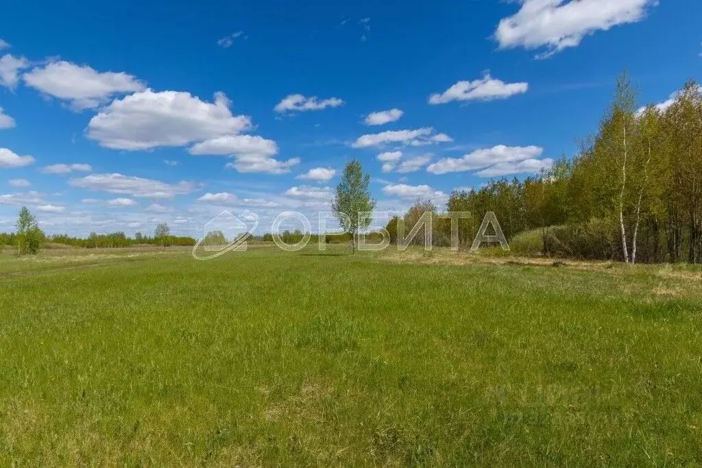 Участок в Тюменская область, Нижнетавдинский муниципальный округ, ... - Фото 2