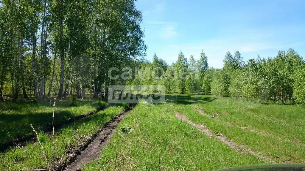 Участок 18,5 сот. (ИЖС) - Фото 0