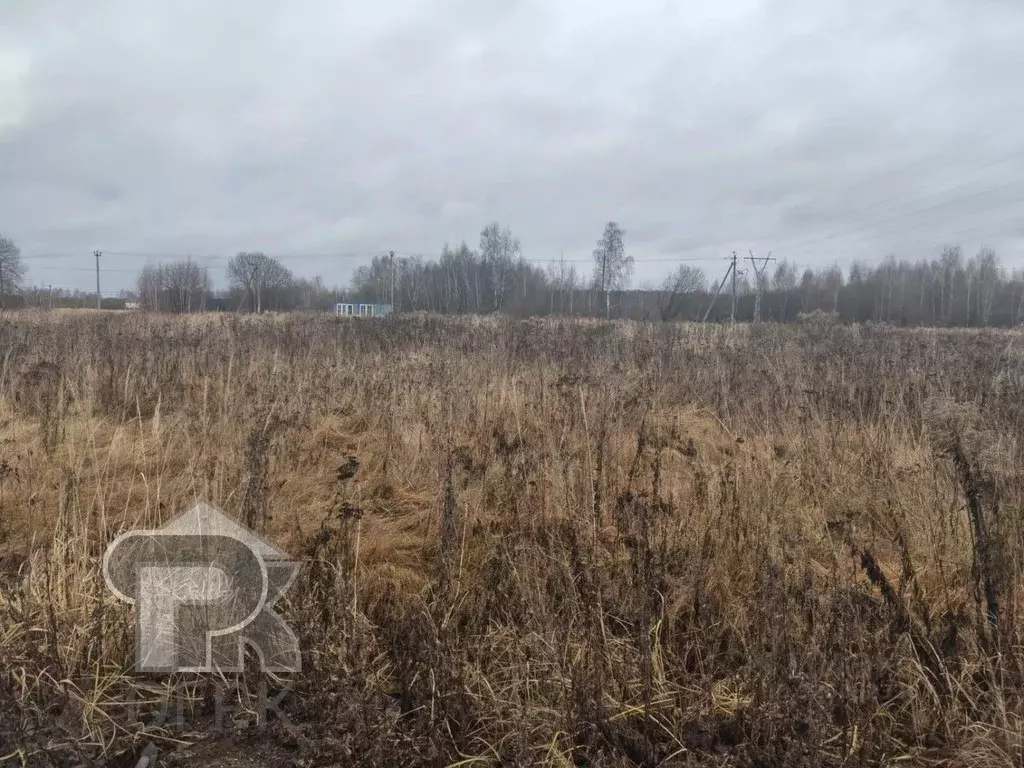 Участок в Московская область, Раменский муниципальный округ, с. ... - Фото 1