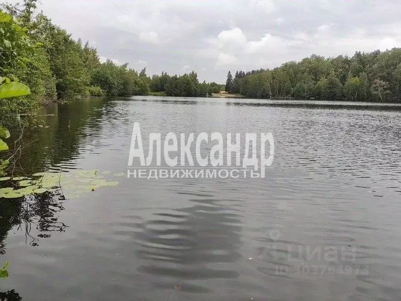 Участок в Ленинградская область, Всеволожский район, Колтушское ... - Фото 1