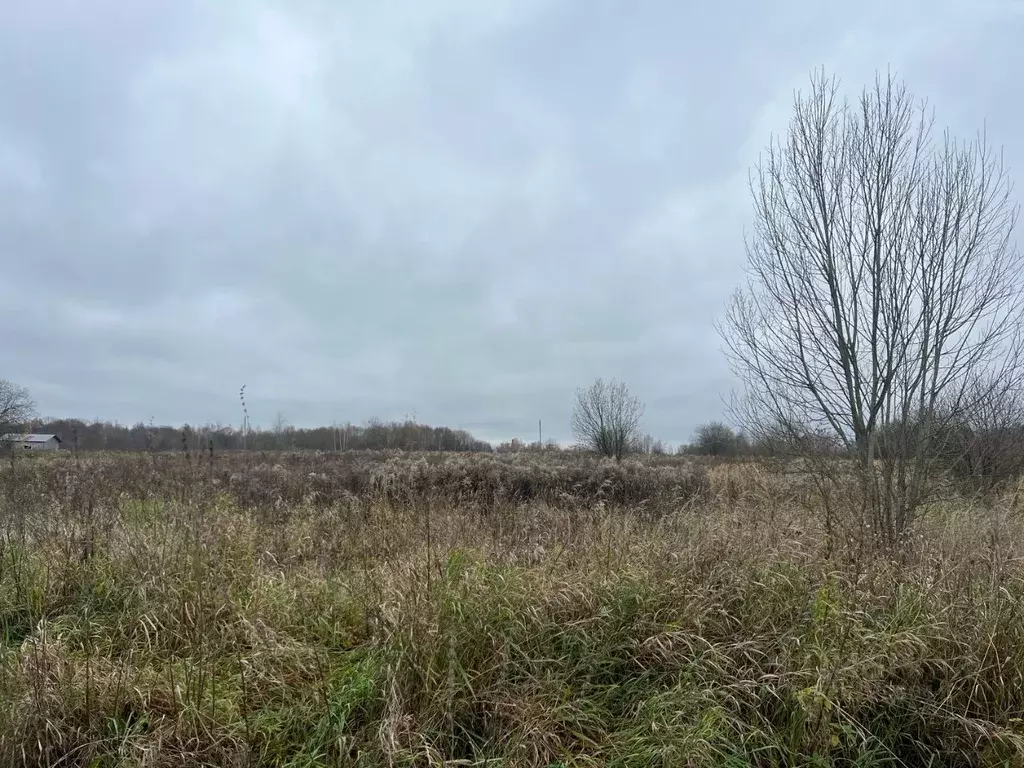Участок в Тульская область, Щекинский район, Яснополянское с/пос, д. ... - Фото 2
