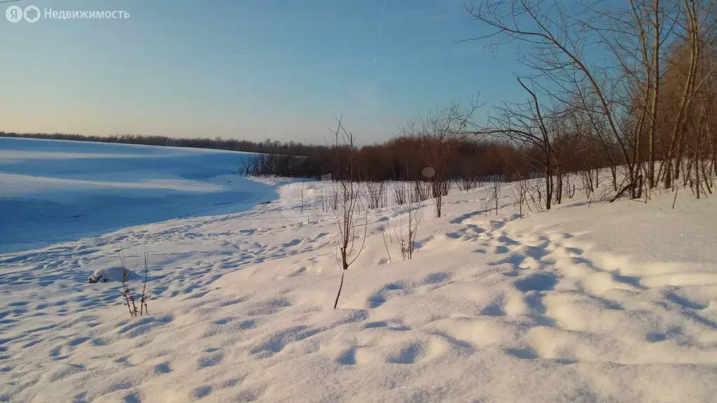 Участок в деревня Медянки Татарские, Портовая улица (19 м) - Фото 2